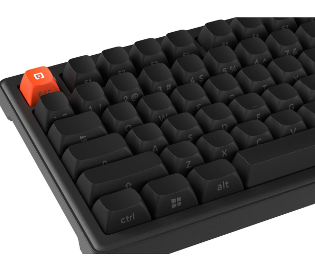 SMX Kishu Jelly Switch Void black SMXG049 - 1417237 - zdjęcie 9